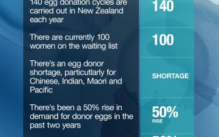 Shortage of Egg Donors in New Zealand