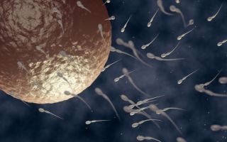 Fertility treatment funding trust gives first grant