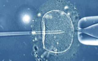 IVF: First three-parent baby born to infertile couple