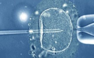 What not to say to someone going through IVF
