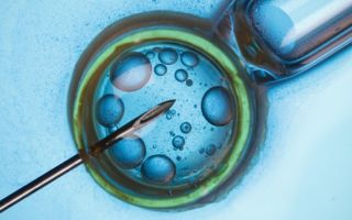 What should happen to embryos if you split?