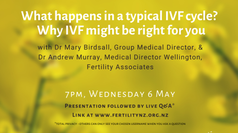 What happens in a typical IVF cycle?